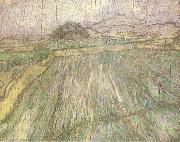 Vincent Van Gogh Wheat Field in Rain (nn04) Spain oil painting reproduction